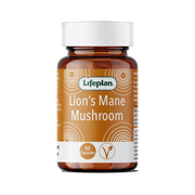 Lion's Mane Mushroom